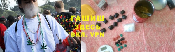 гидропоника Алзамай