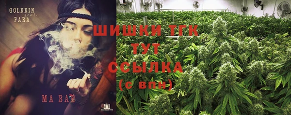 индика Алексеевка