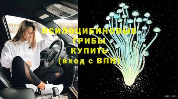 гидропоника Алзамай